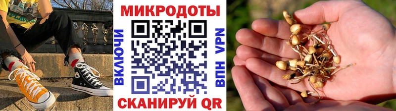 kraken ONION  Новый Оскол  Галлюциногенные грибы Psilocybe 
