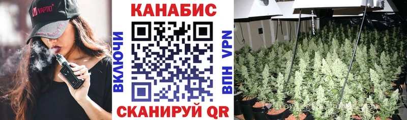 Бошки марихуана SATIVA & INDICA  Новый Оскол 